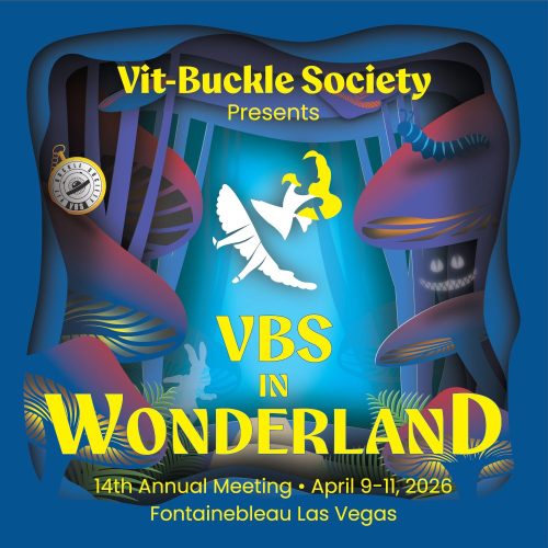 VBS 2026 scaled